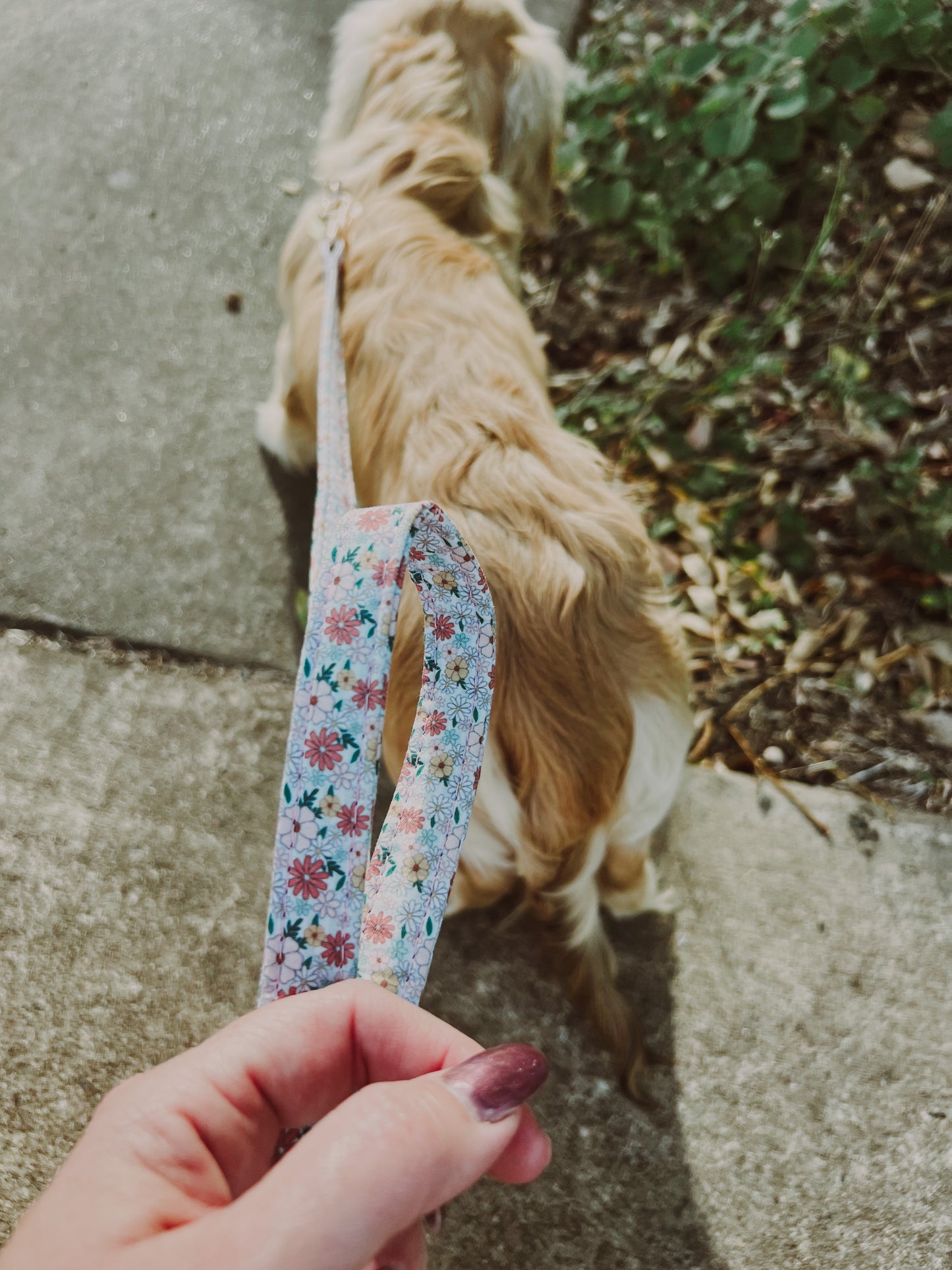 Pipp floral