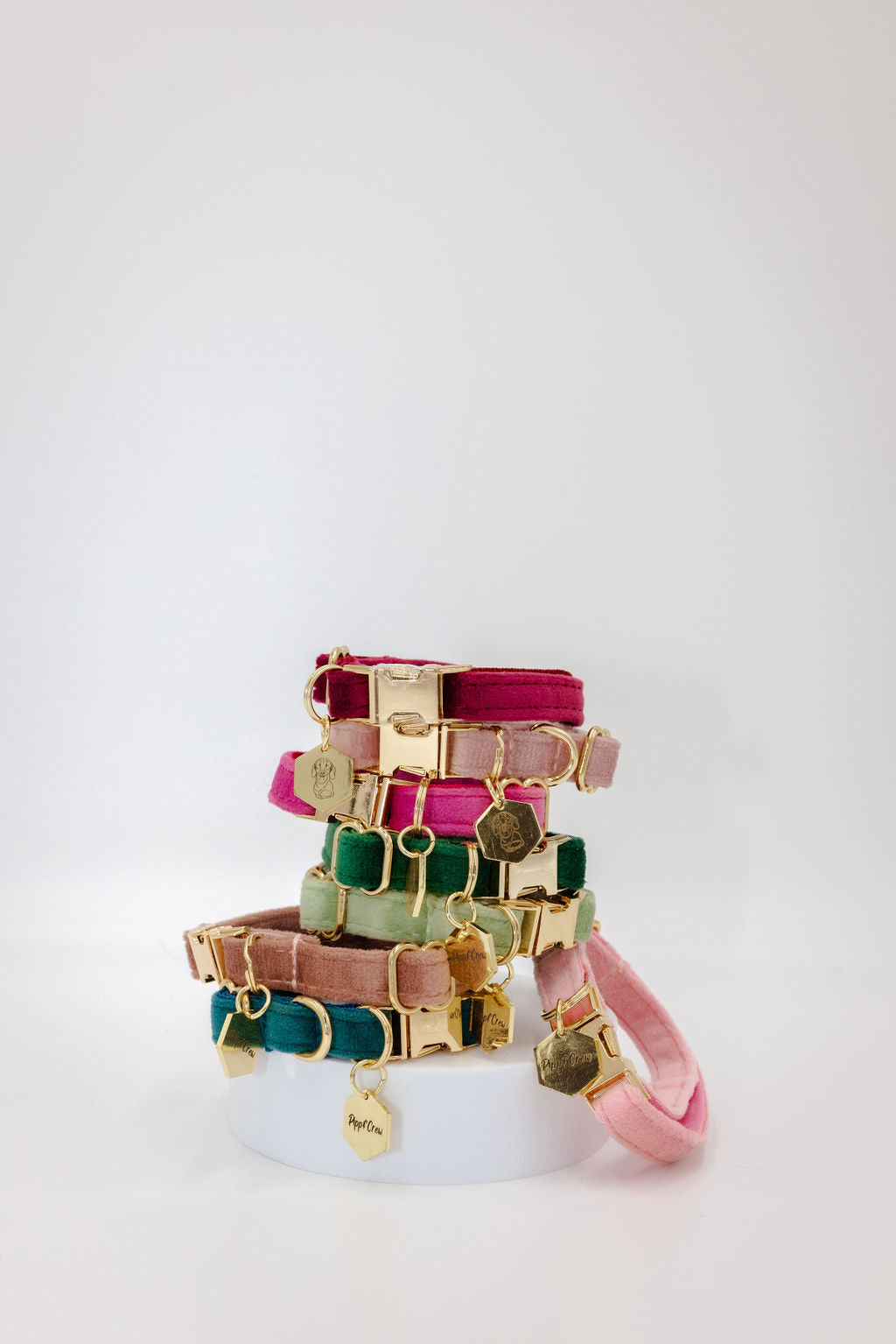 Puppy Velvet Collar