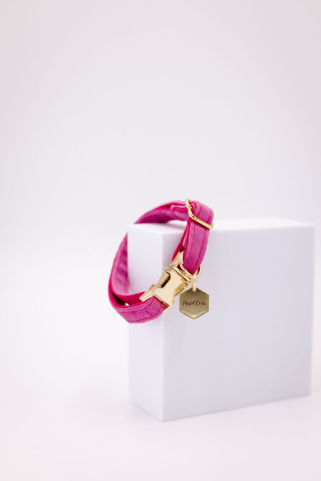 Puppy Velvet Collar