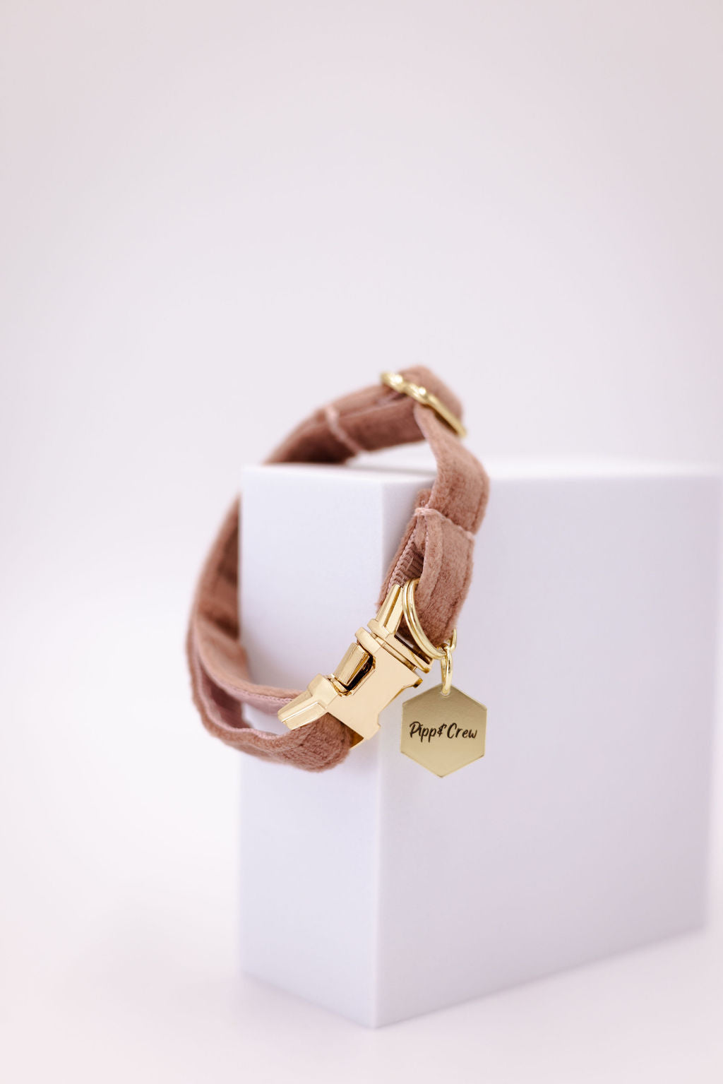 Puppy Velvet Collar