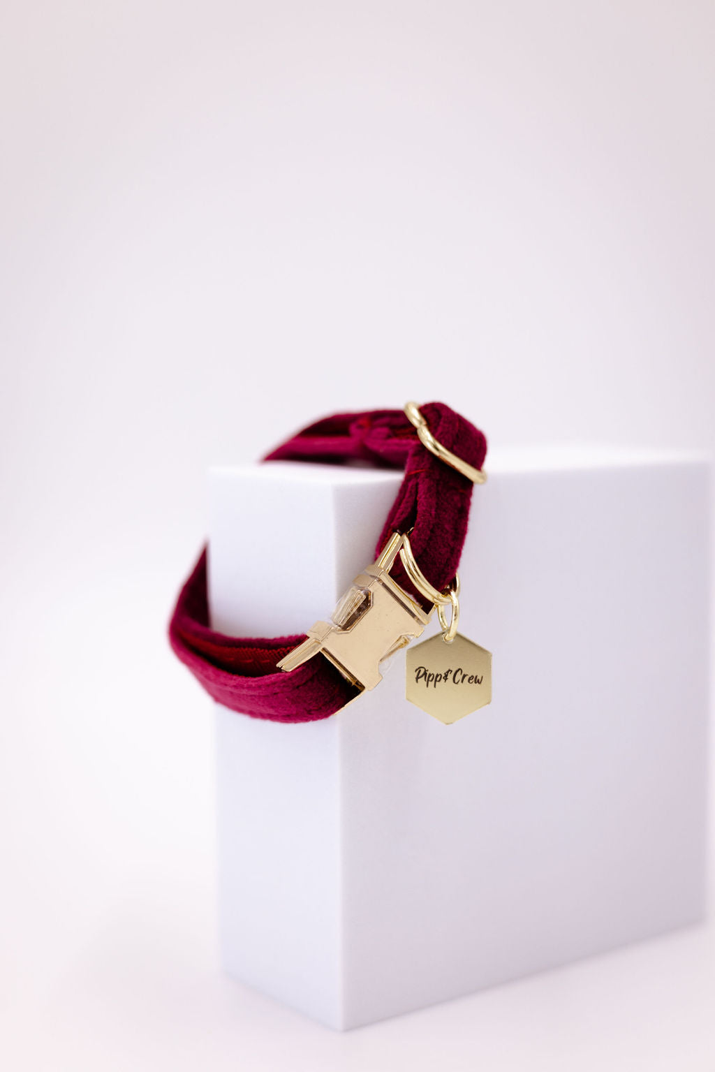 Puppy Velvet Collar