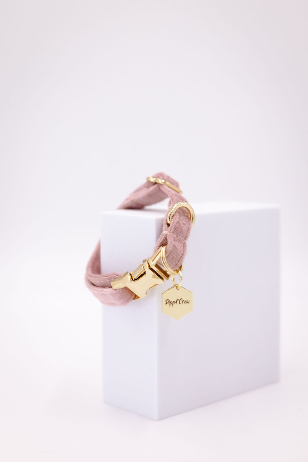 Puppy Velvet Collar