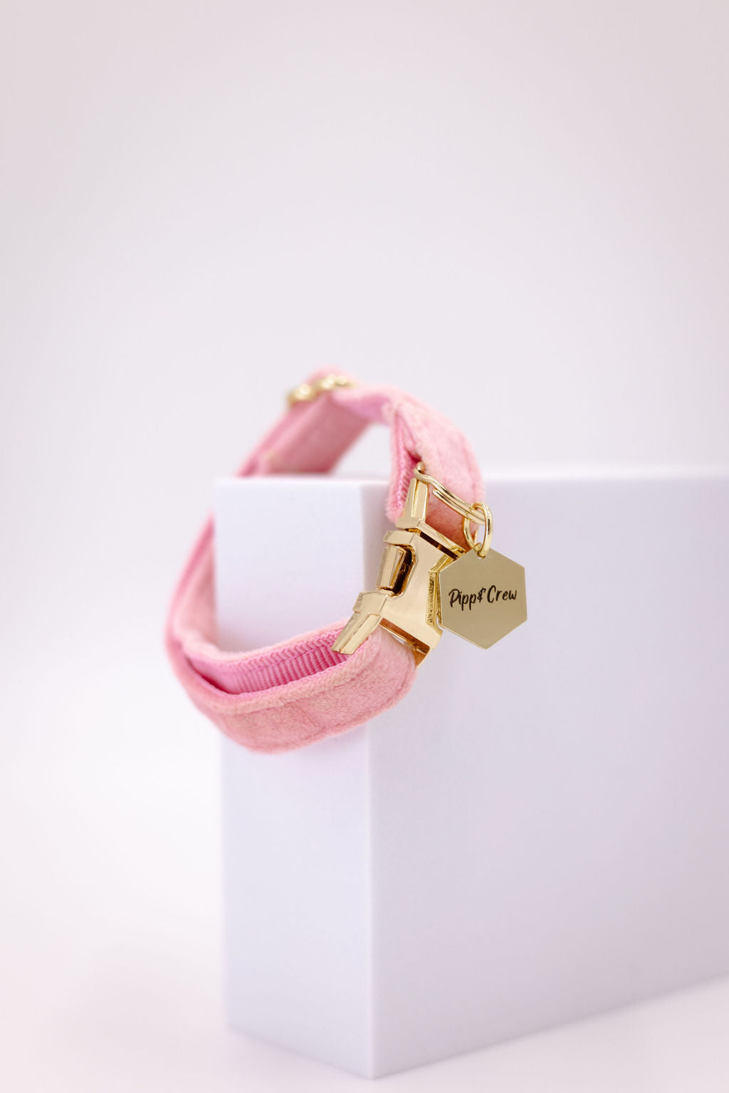 Puppy Velvet Collar
