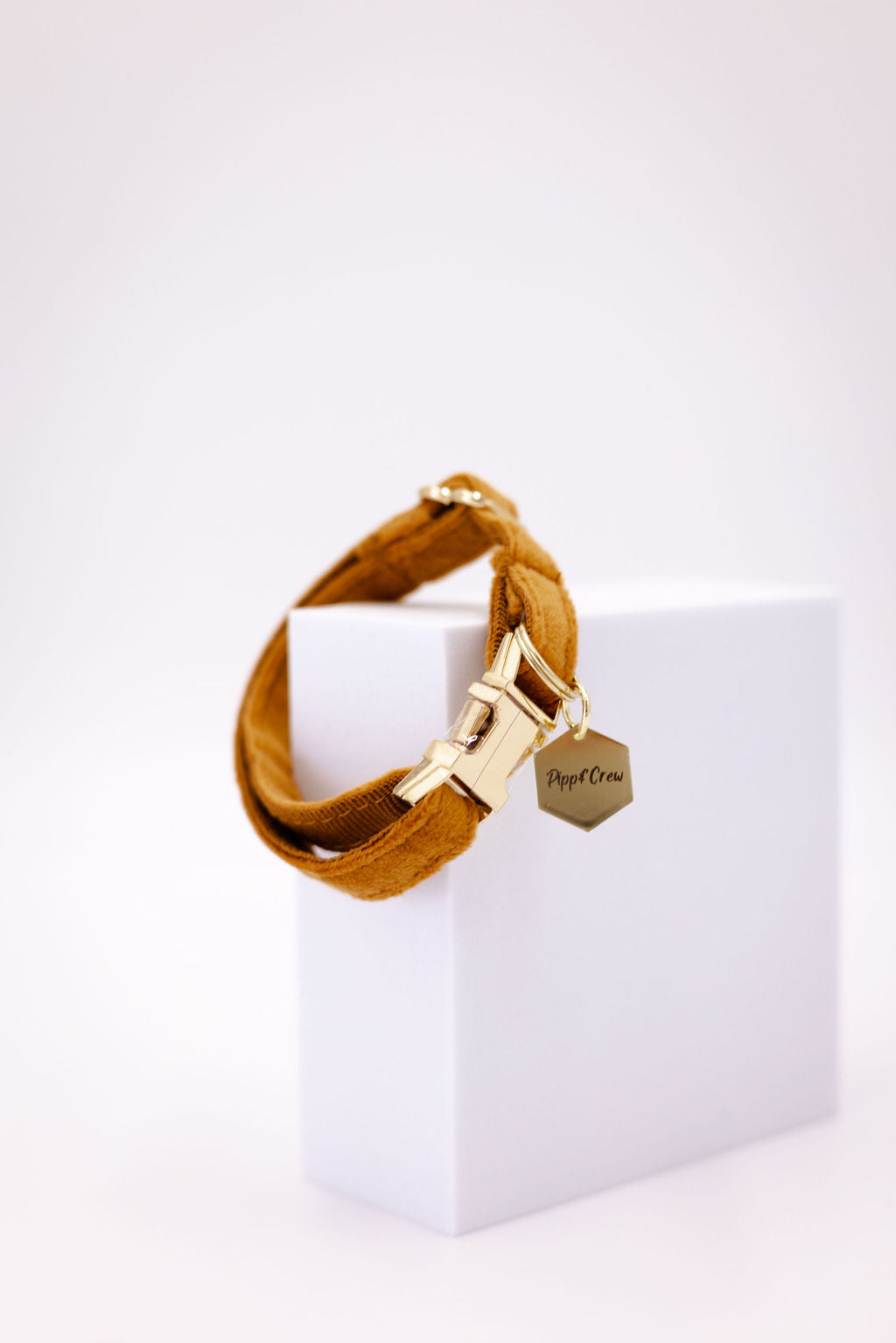 Puppy Velvet Collar
