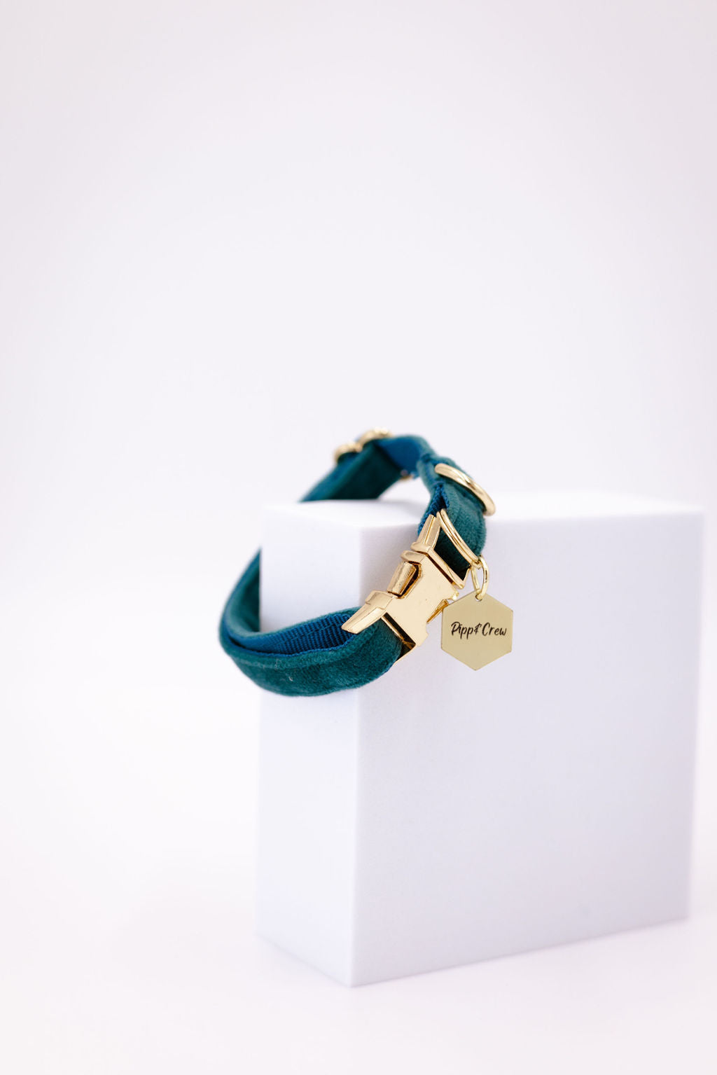 Puppy Velvet Collar