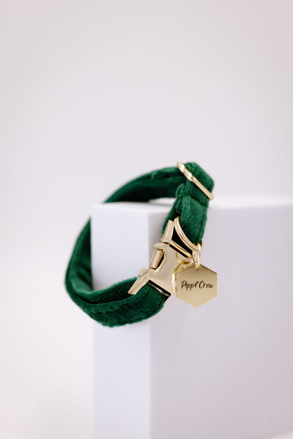 Puppy Velvet Collar