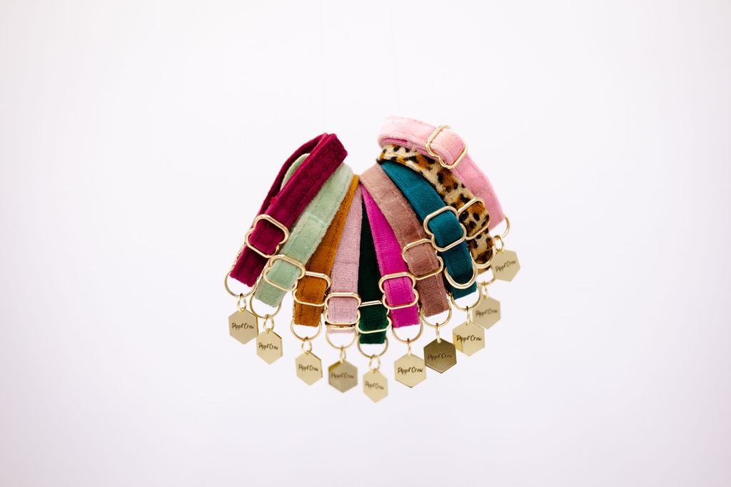 Puppy Velvet Collar
