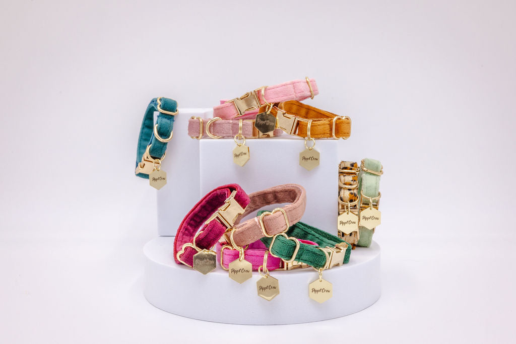 Puppy Velvet Collar