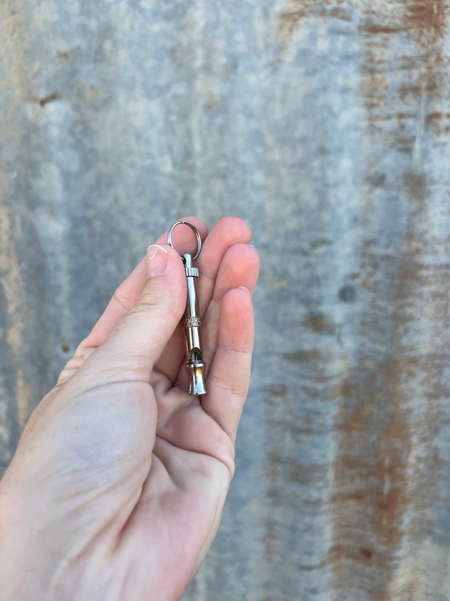 Stainless steel whistle