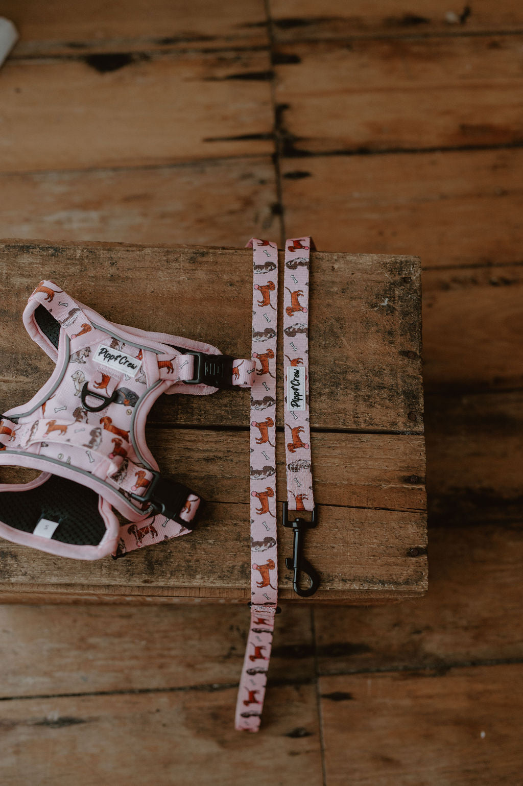 Dachshund Oxford harness