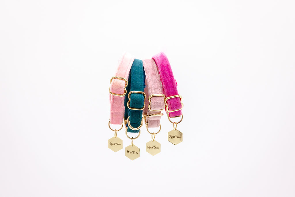 Puppy Velvet Collar