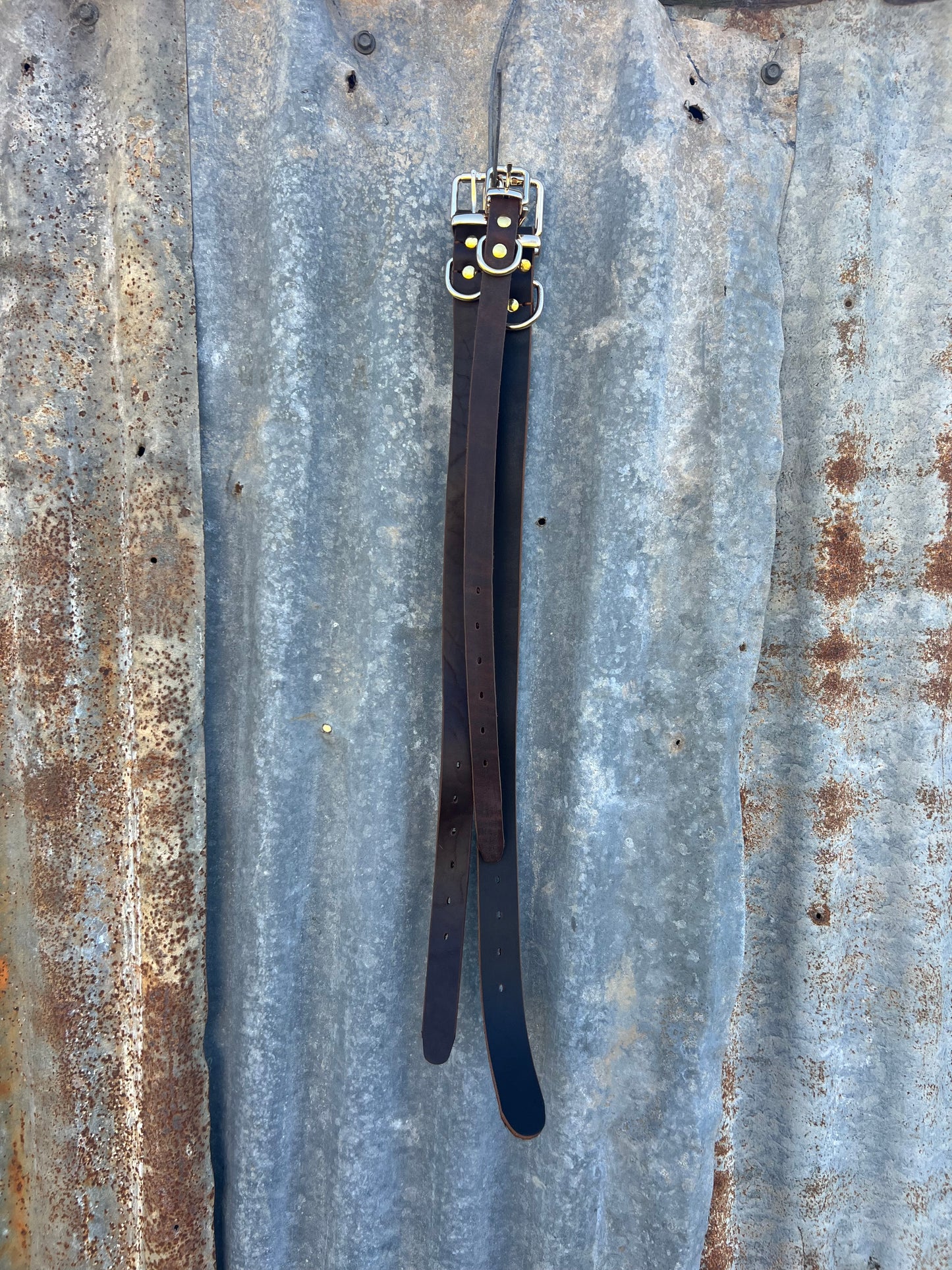Stock leather collar