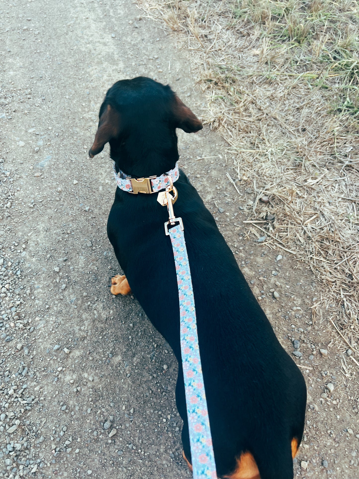 Pipp floral