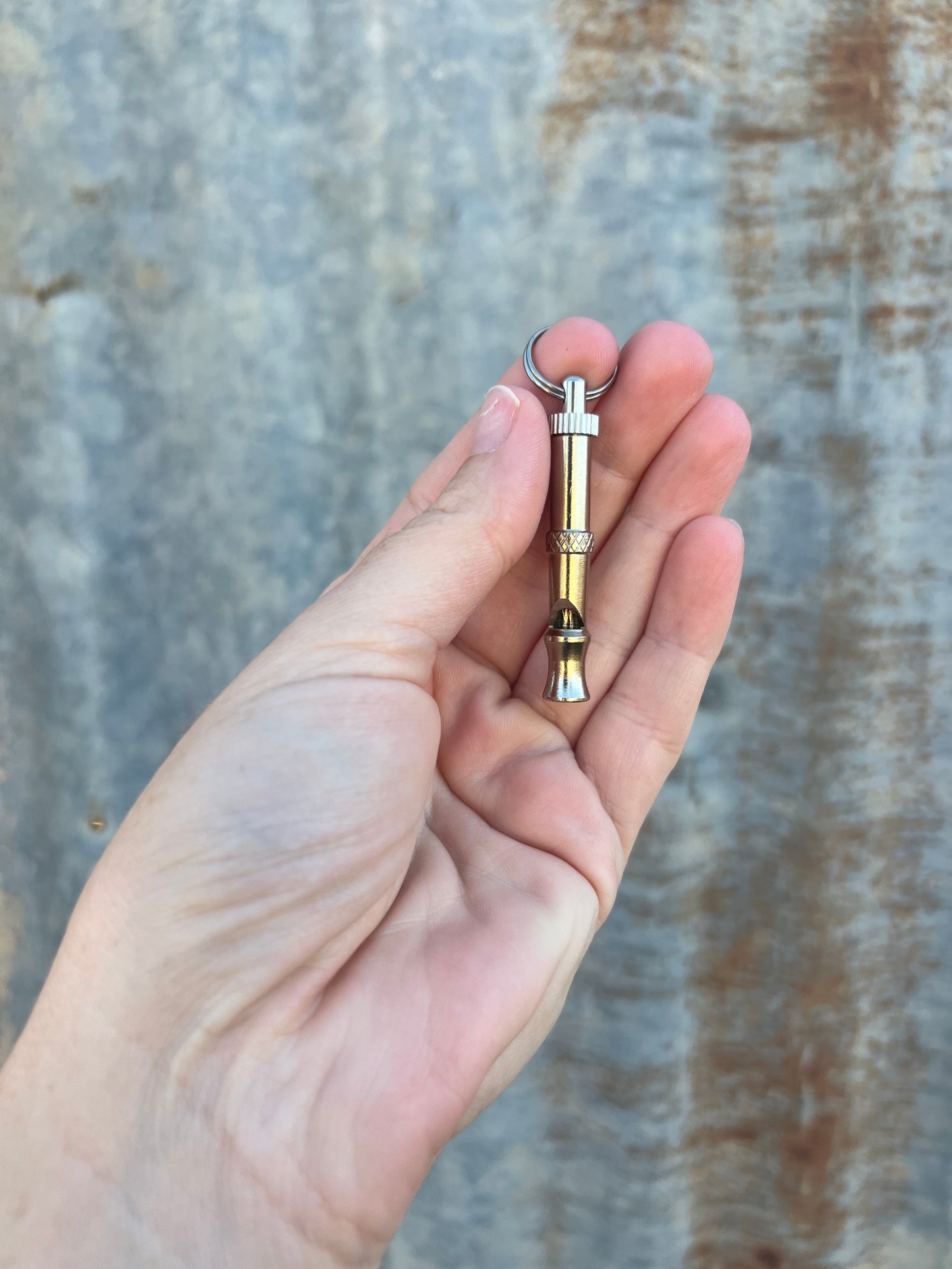 Stainless steel whistle