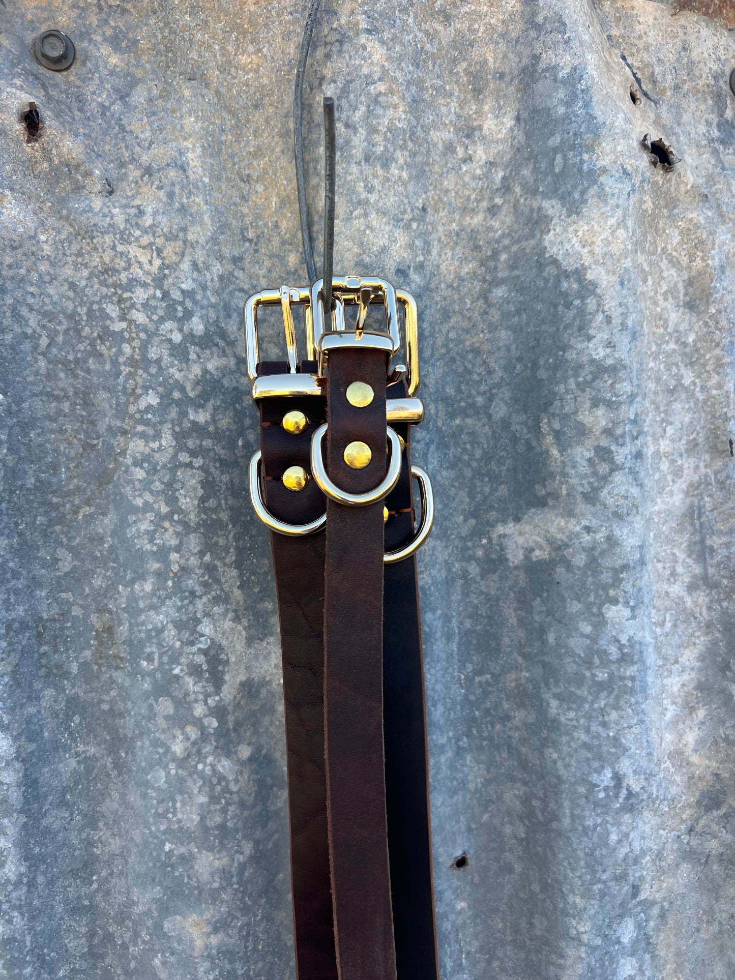 Stock leather collar