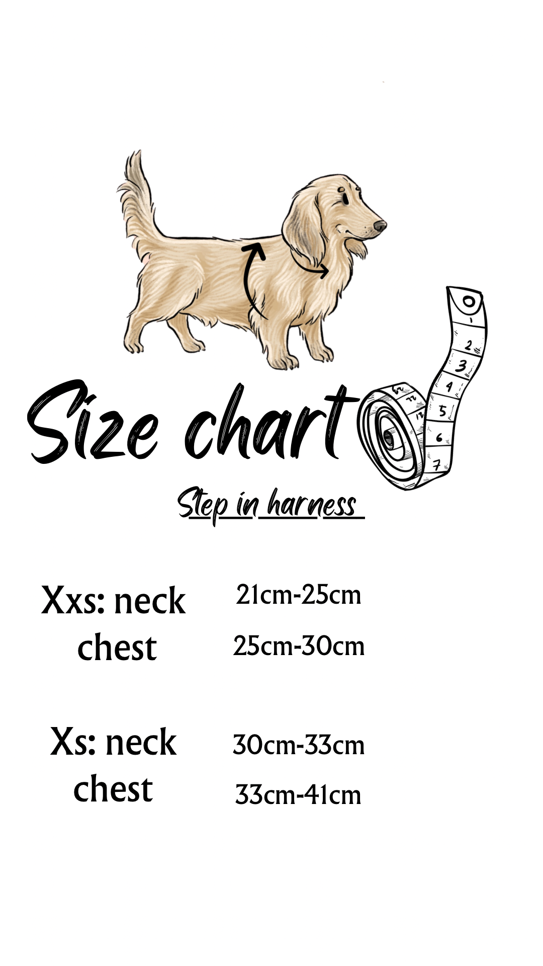 Dachshund step in