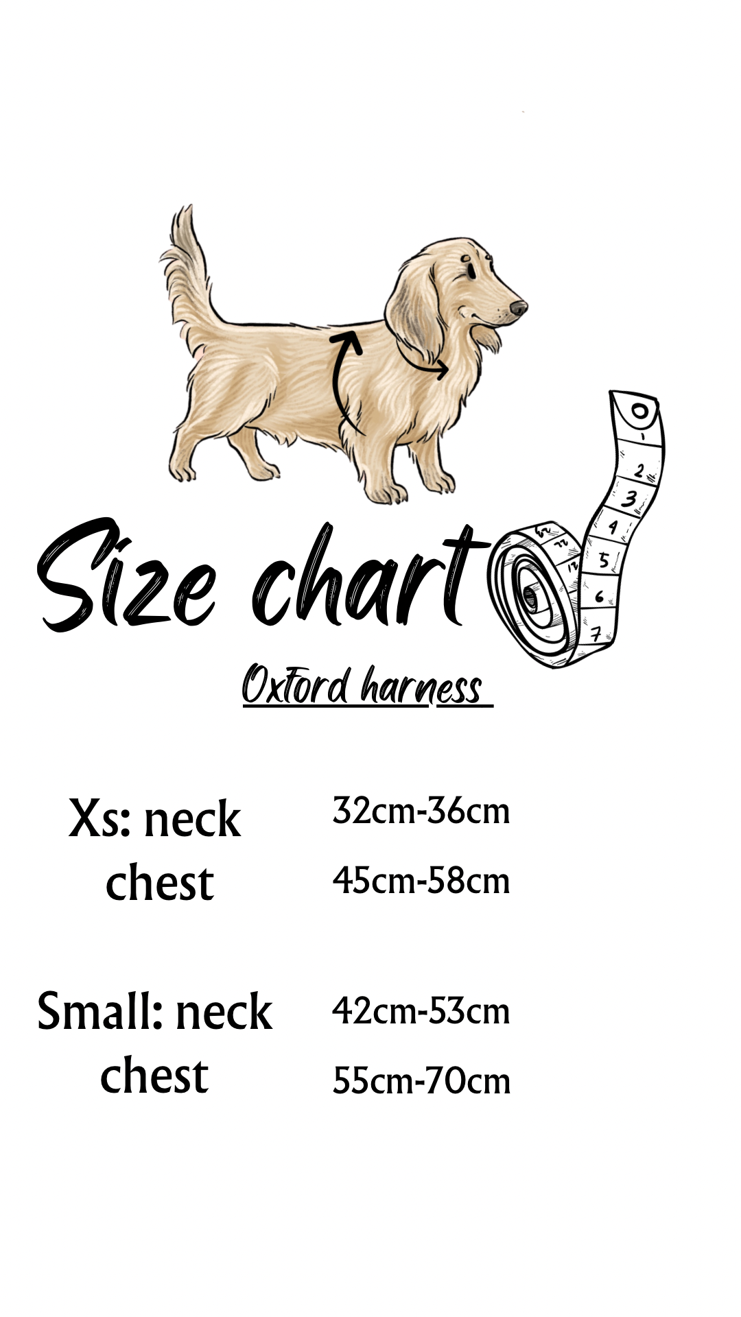 Dachshund Oxford harness