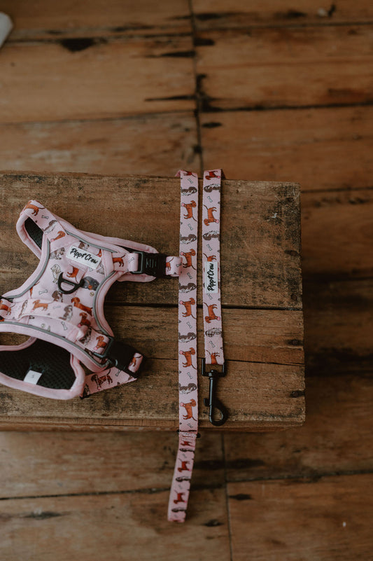 Dachshund Oxford harness