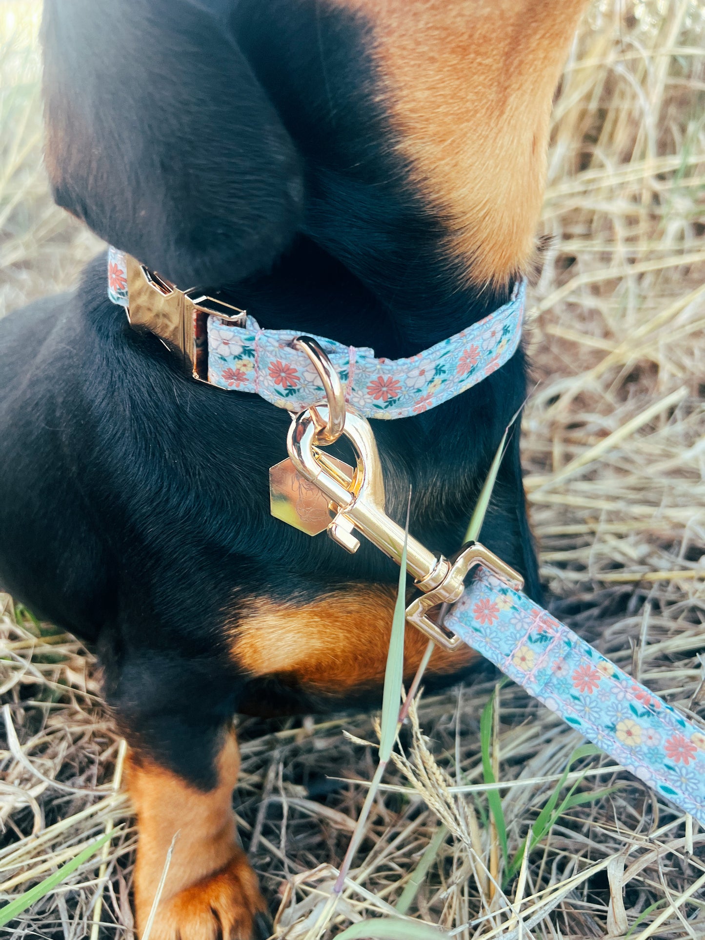 Pipp floral